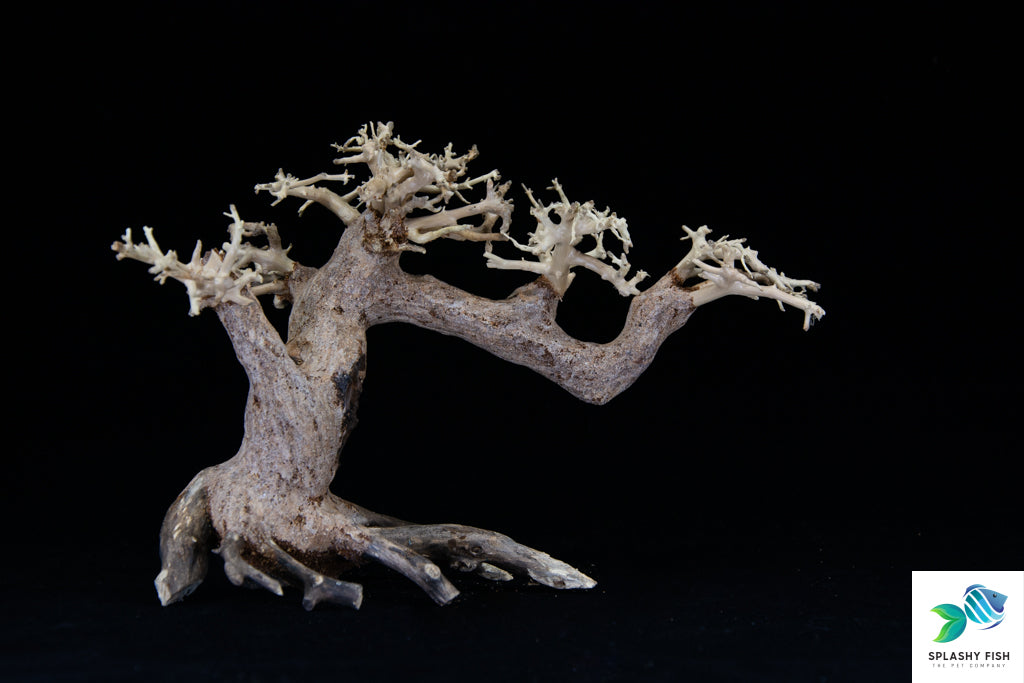 Driftwood For Aquariums For Sale | Aquarium Bonsai Tree for fish tank driftwood  | live plants betta fish | aquarium driftwood sale | driftwood for sale for aquariums aquarium bonsai | bonsai in aquarium | | driftwood tree | large aquarium driftwood  | bonsai terrarium