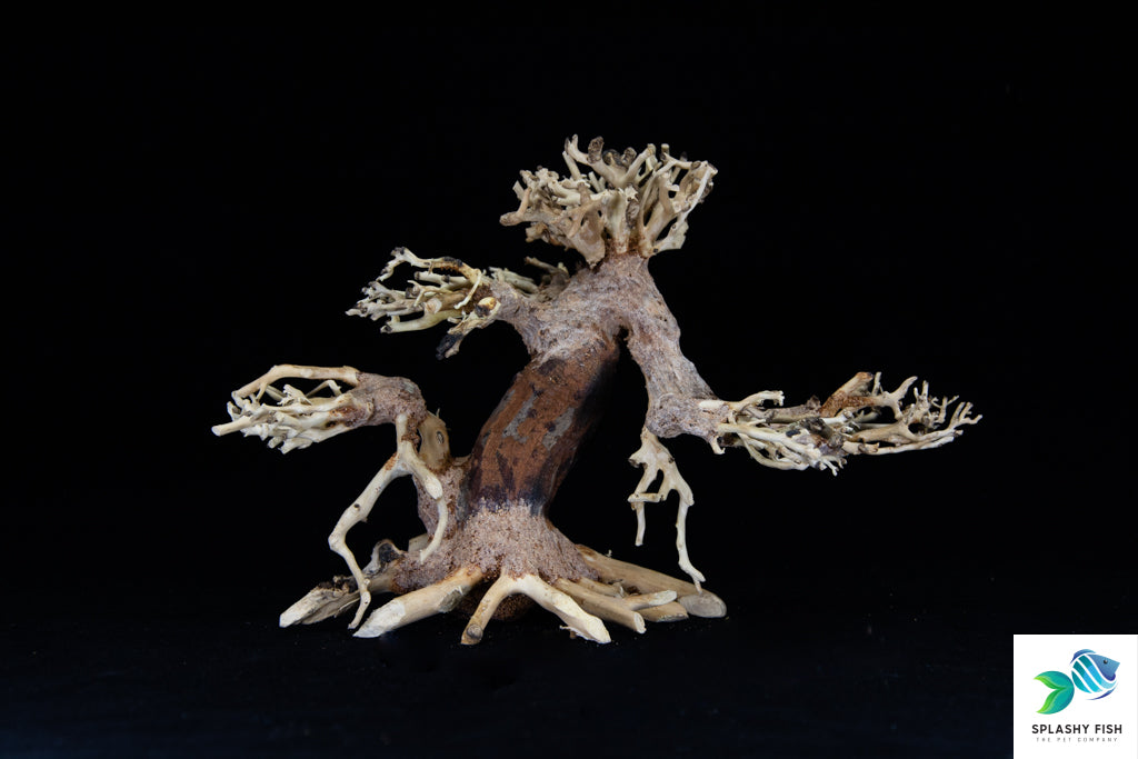 Wood For Aquarium | Driftwood Aquarium Aquascape | bonsai tree underwater |  buy driftwood near me | buy driftwood online |  can bonsai trees grow underwater
