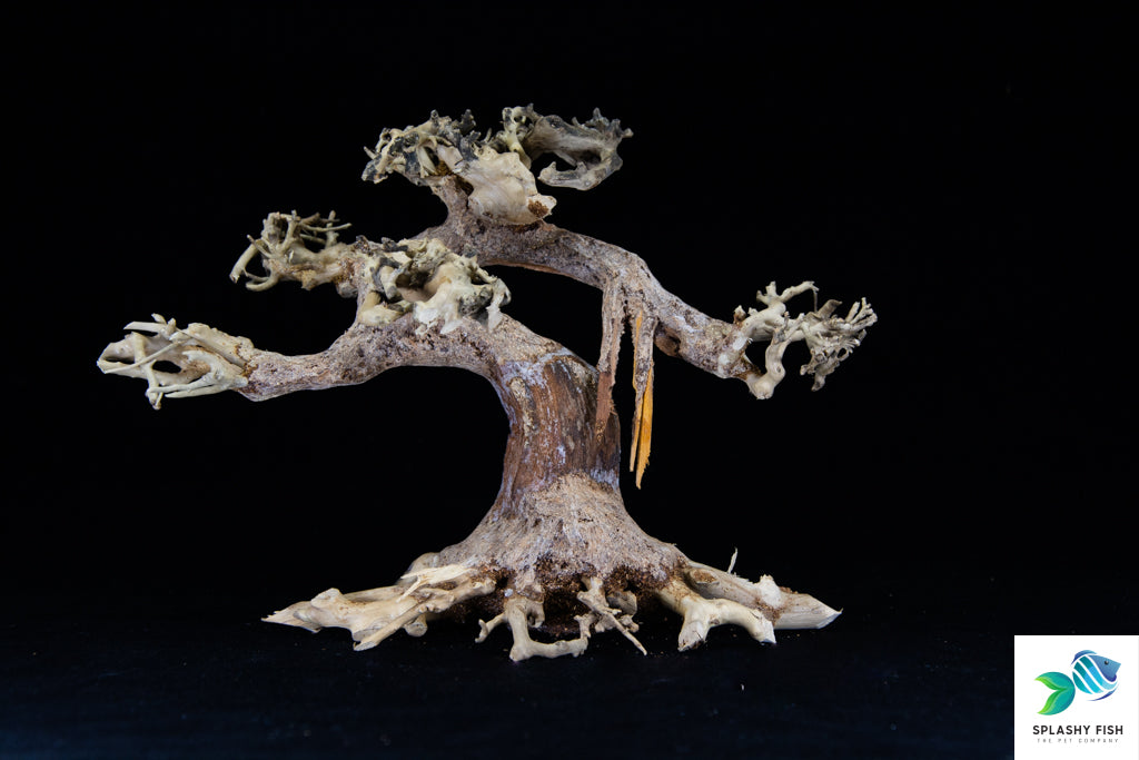 Aquascape Aquarium Driftwood For Sale | Aquarium Fish Tank Supplies | bonsai driftwood for fish tank |  bonsai wood for aquarium