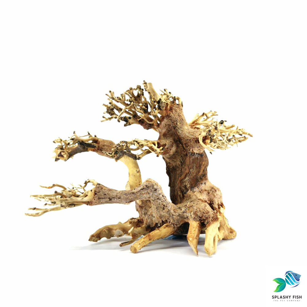 Aquarium Bonsai Tree Driftwood For Sale | Splashy Fish | Tropical Fish Store | aquarium logs for sale