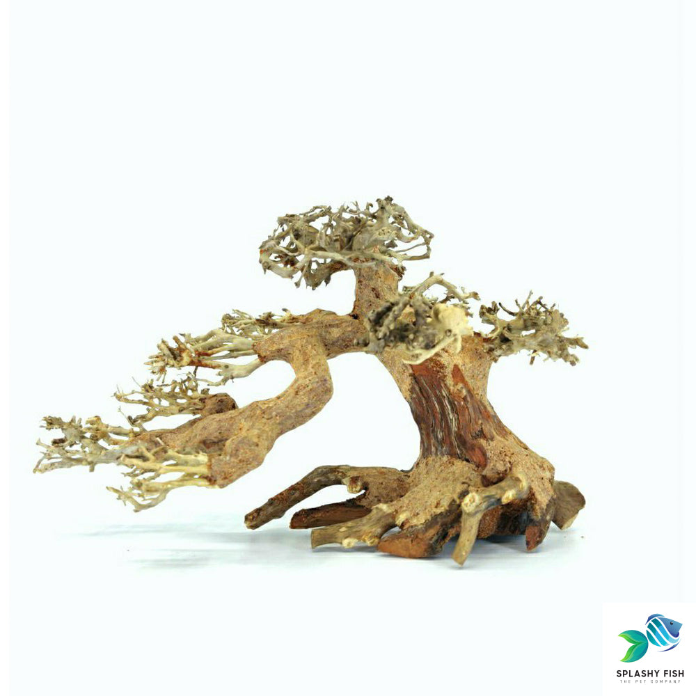 Aquascape Aquarium Driftwood For Sale | Aquarium Bonsai Tree | bonsai fish tank |  bonsai for fish tank | driftwood for freshwater aquariums | driftwood for sale for aquariums | driftwood near me | freshwater terrarium |  java moss bonsai tree