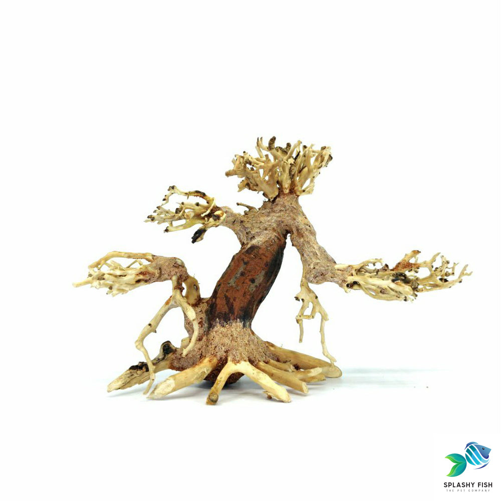 Driftwood Aquarium Aquascape Ideas | Bonsai Wood | betta driftwood | betta tank plants | betta plants |  bonsai clearance sale | bonsai decorations | bonsai mangrove tree