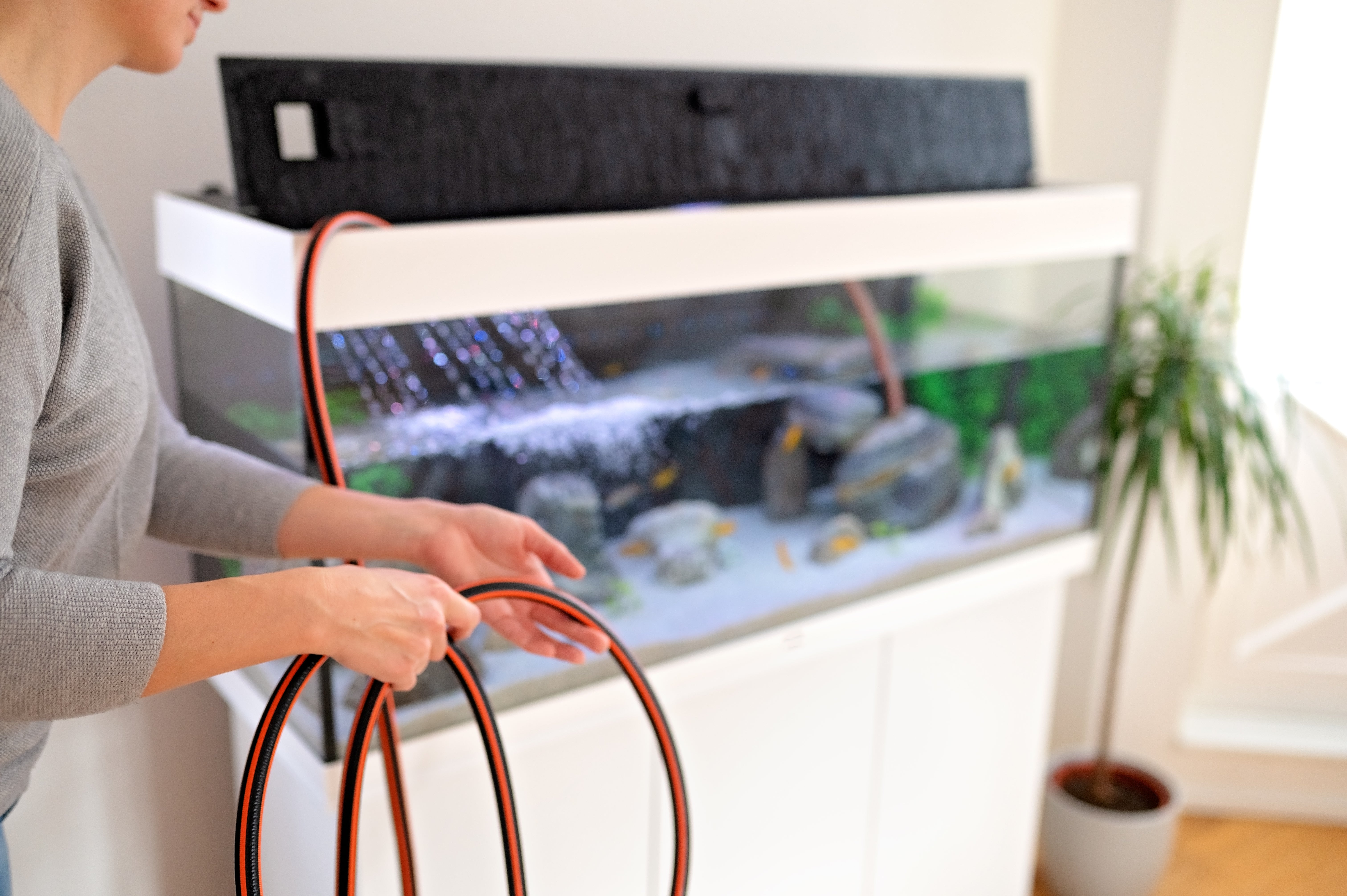 a woman is changing water for her fish tank