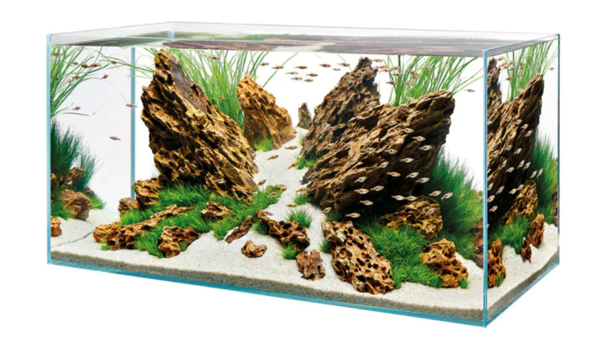 Rimless Large Fish Tank Aquariums Fish Tank For Sale | Rimless Fish Tank | Splashy Fish