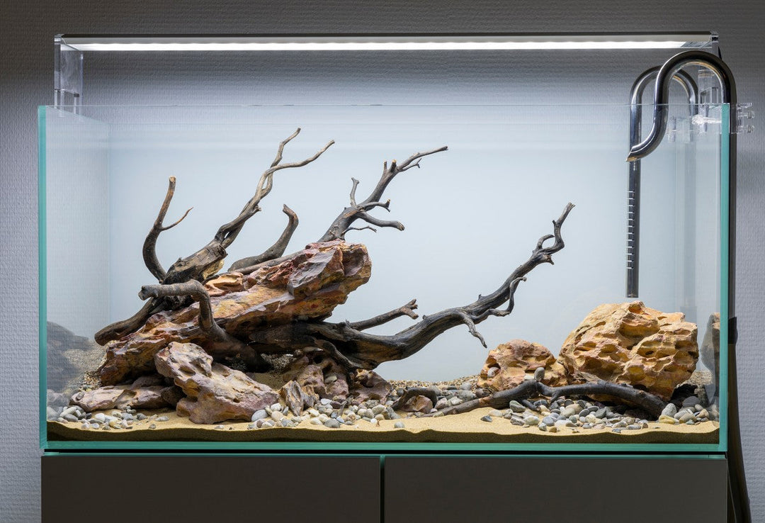 aquarium light, aquarium lights, fish tank lights, fish tank light, aquarium lighting, led aquarium lighting, led aquarium light, best aquarium light, light for fish tank, aquarium lights for sale, buy aquarium lights