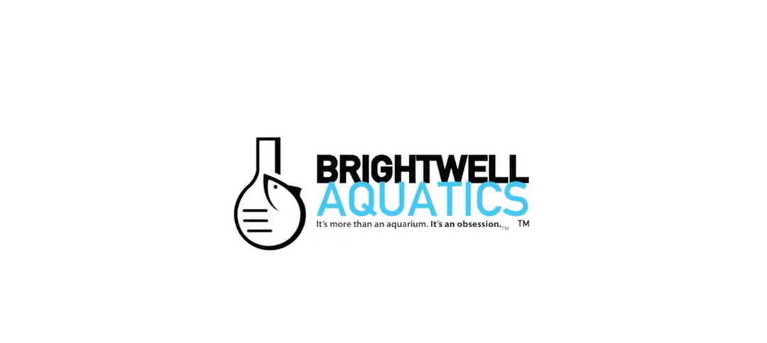 Brightwell Aquatics, Brightwell, brightwell aquatics lugol's solution, brightwell aquatics neomarine salt mix, brightwell aquatics elemental, brightwell aquatics product, brightwell aquatics substrate