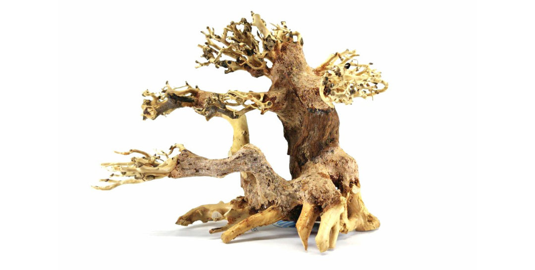 aquarium decorations for sale, fish decor, aquarium decoration, fish decoration, fish tank decoration, natural decoration for sale, buy decoration for fish tank online, decoration for aquascape, aquascaping decoration