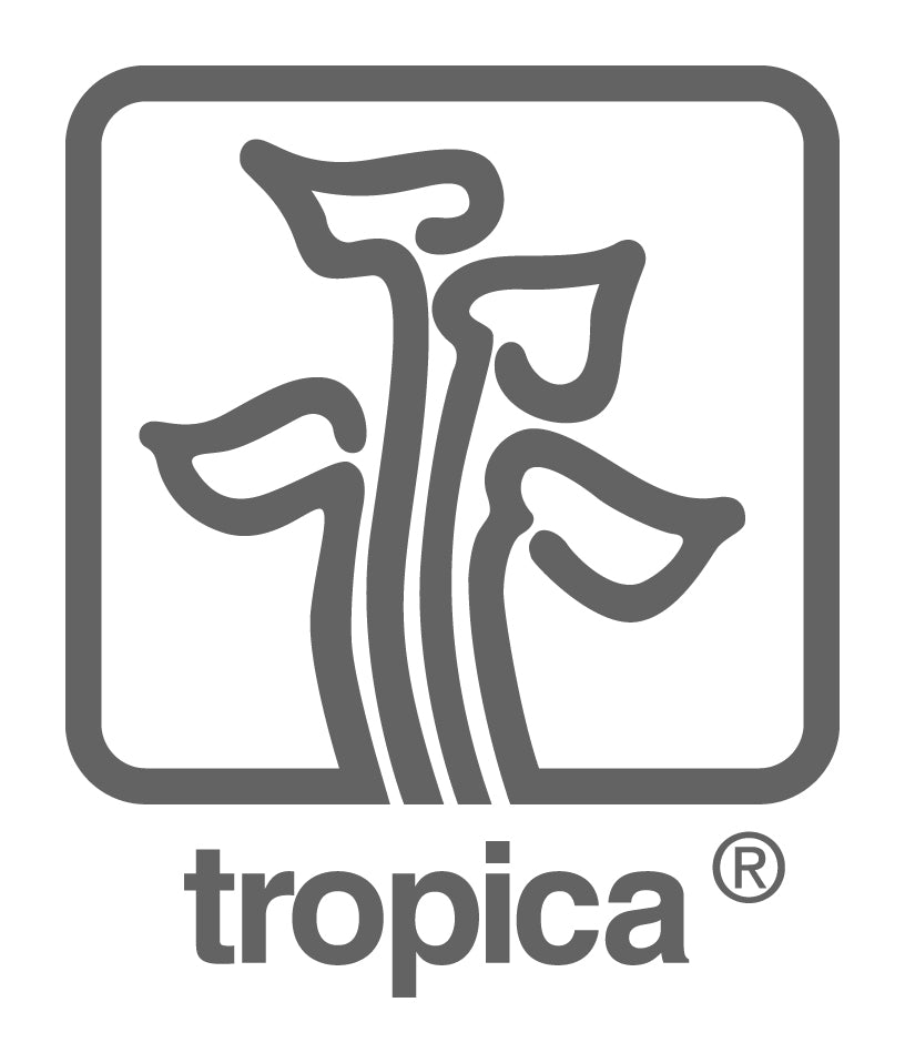 Tropica, tropica plants, tropica brand, tropica logo, tropica plants for sale online, buy tropica plant online