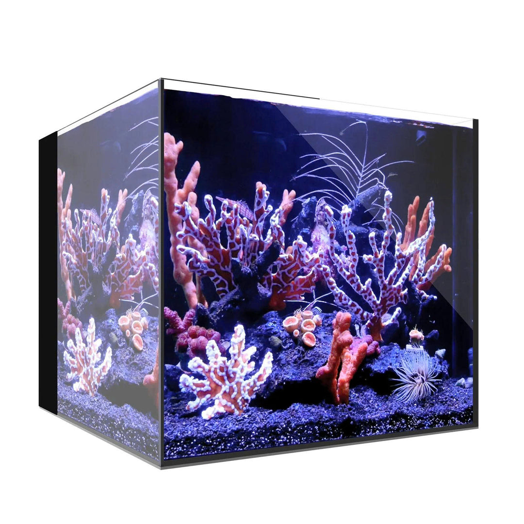 Waterbox AIO
