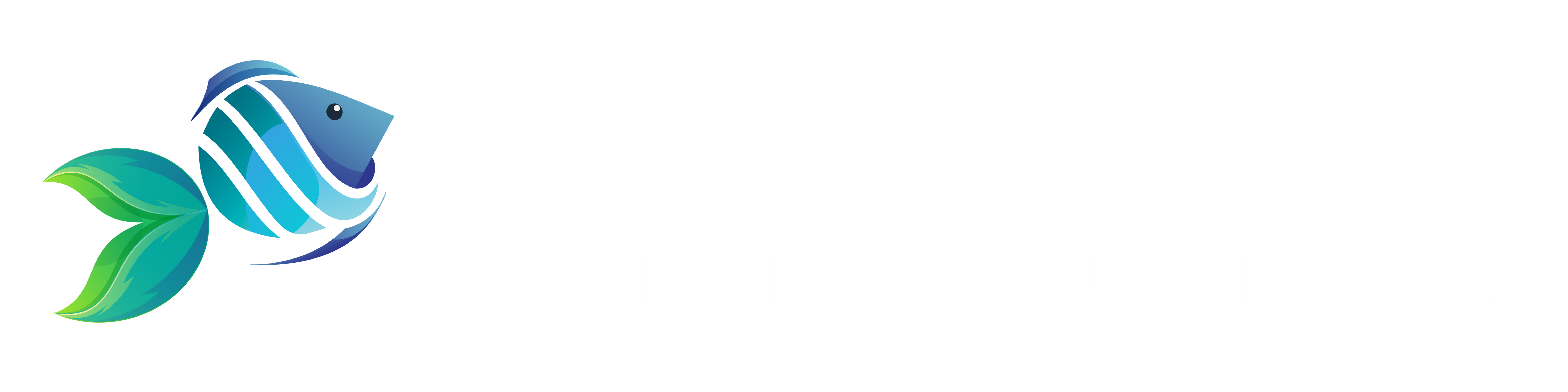 Splashy Fish Founded by Hobbyist, Run with Passion
