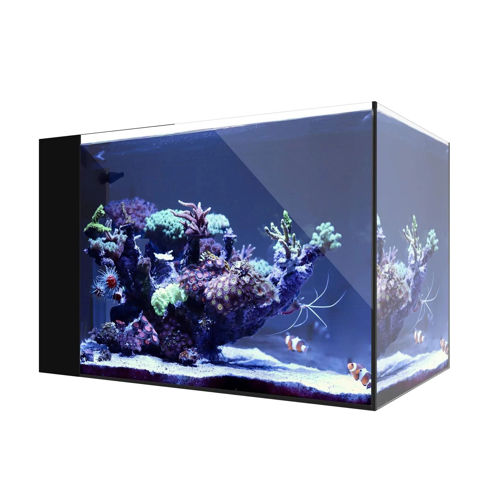 Waterbox AIO
