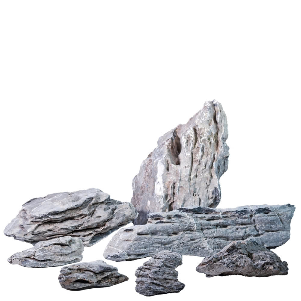 Pisces USA Aqua Natural Seiryu Rock for sale | Splashy Fish