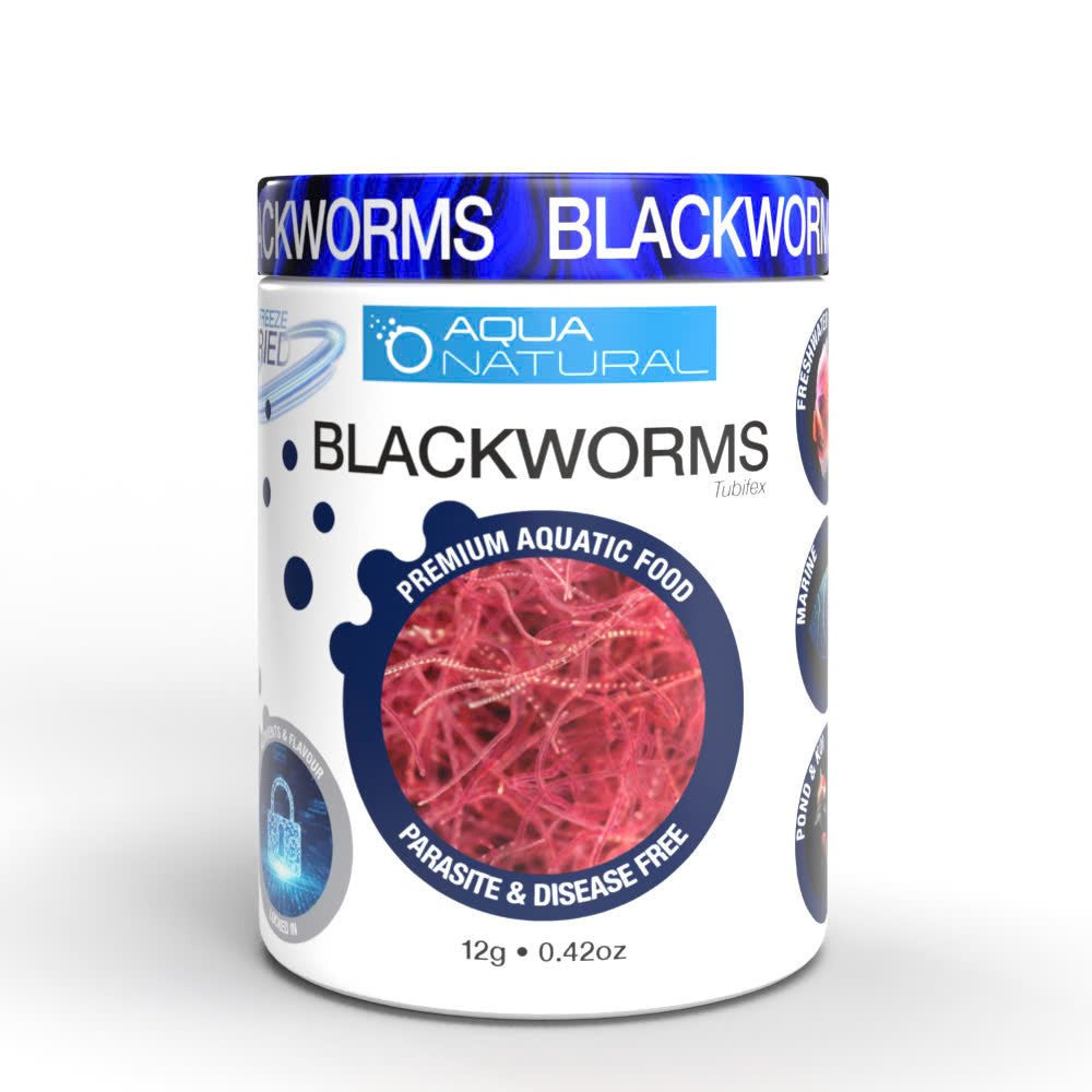 Pisces USA Aqua Natural FD Blackworms 0.40oz