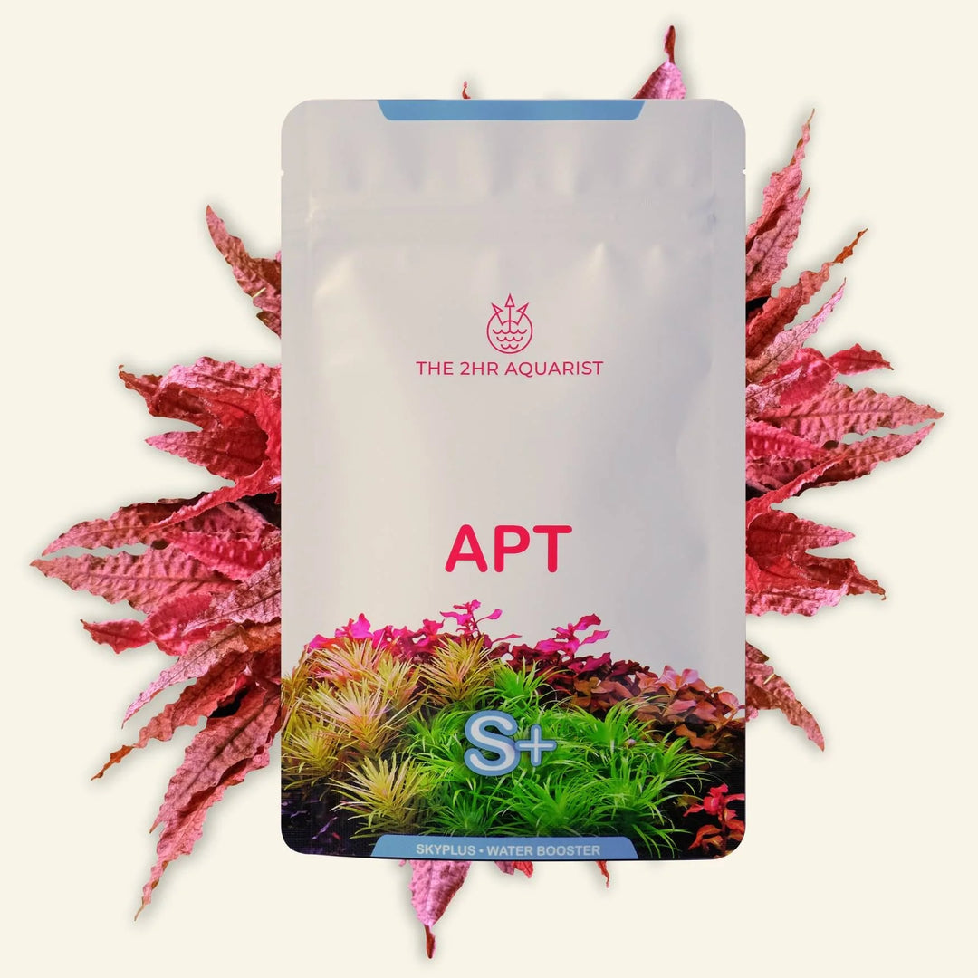 2Hr Aquarist APT SKY