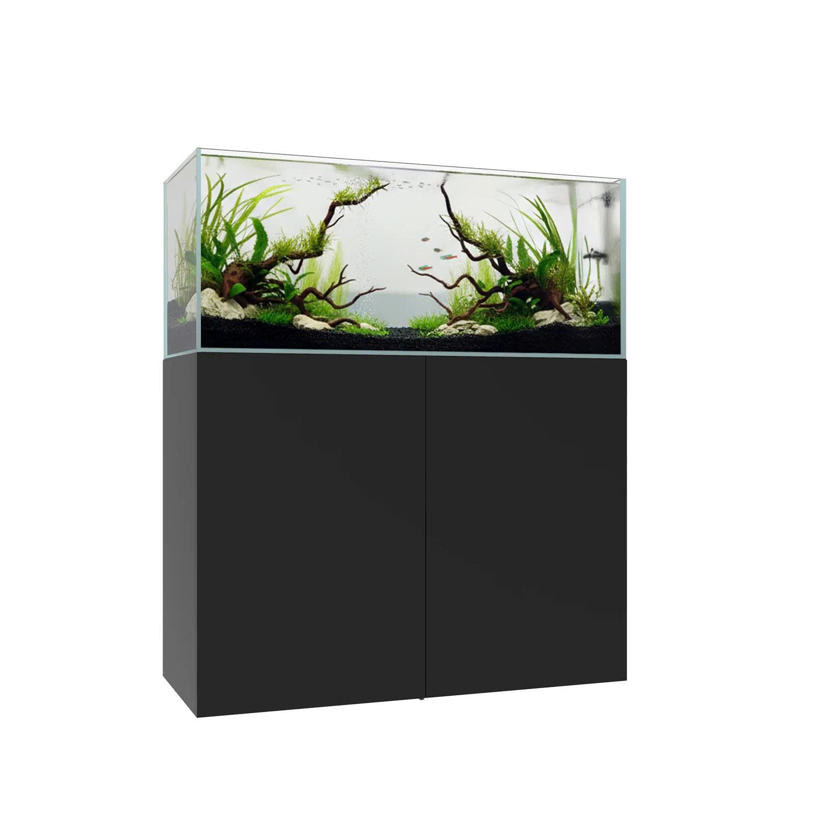 Waterbox CLEAR