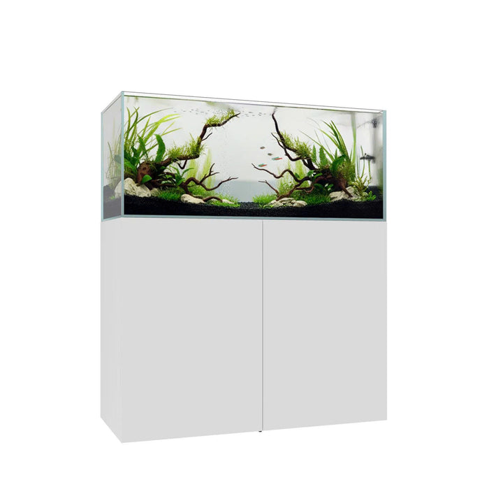 Waterbox CLEAR