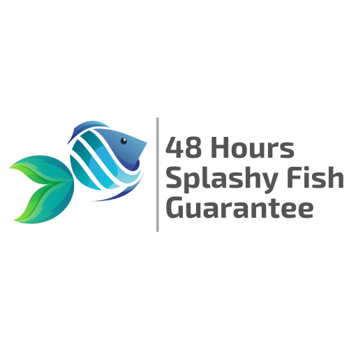 Splashy Fish 48 Hours Splashy Fish Guarantee | 48 Hours Live Fish Guarantee