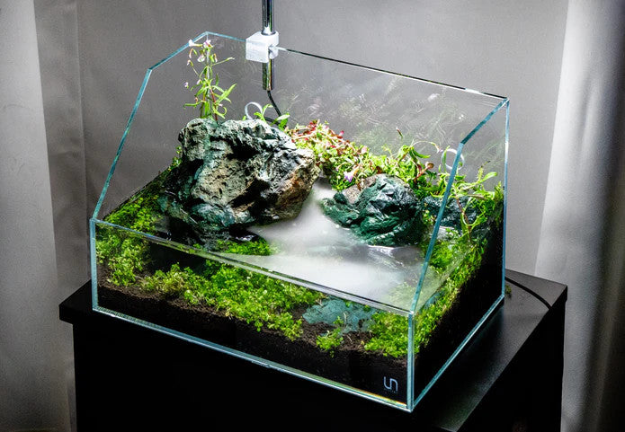 UNS Rimless Paludariums 5E for sale | Splashy Fish