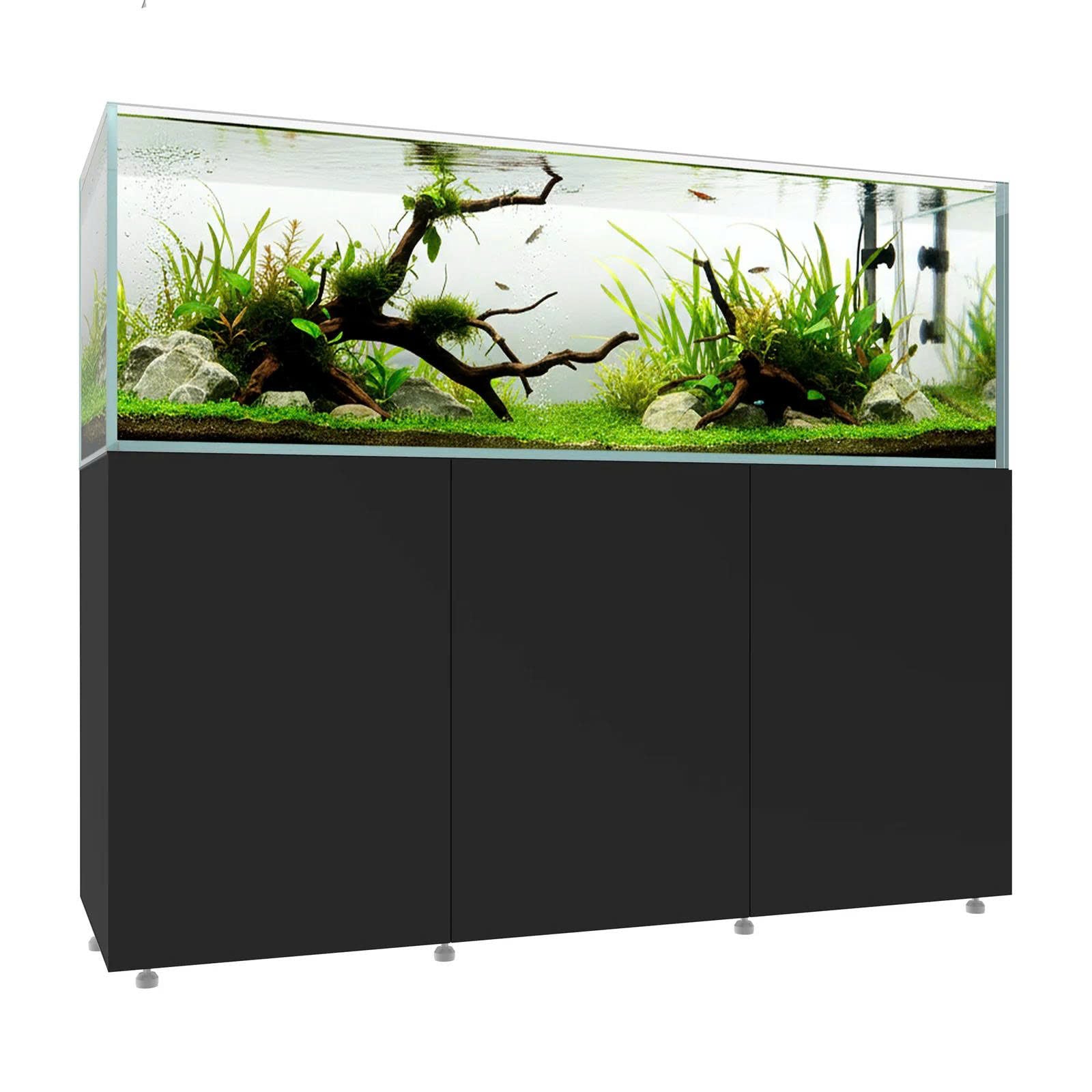 Waterbox CLEAR