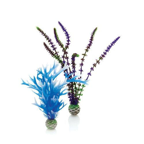Blue & Purple Plant Set, medium