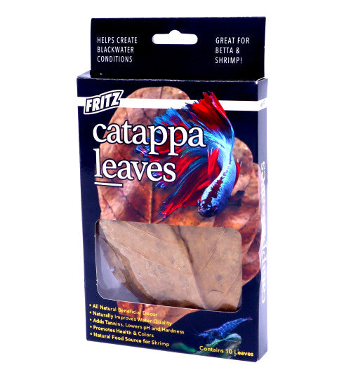 Fritz Cattapa Leaves 10pk for sale | Splashy Fish