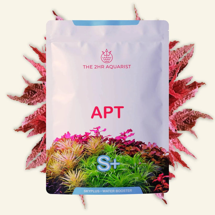 2Hr Aquarist APT SKY