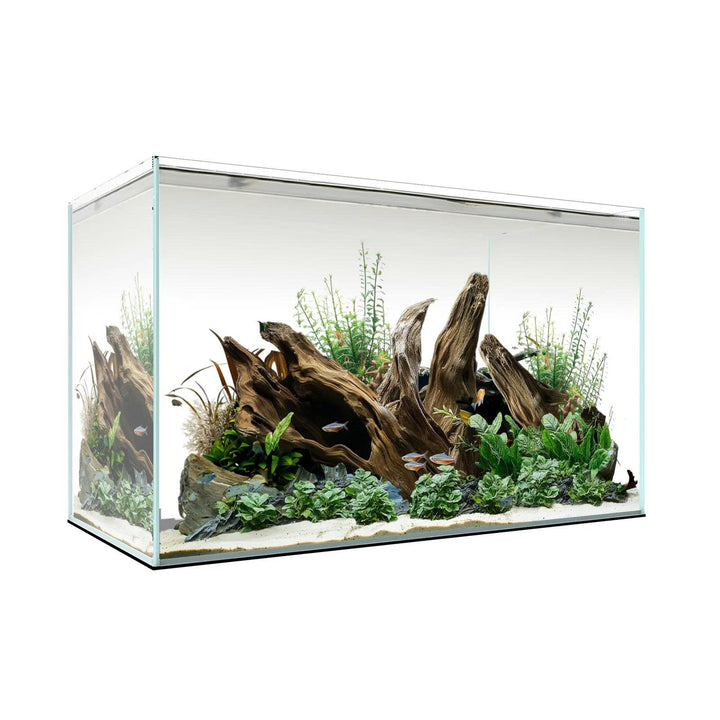 Waterbox CLEAR