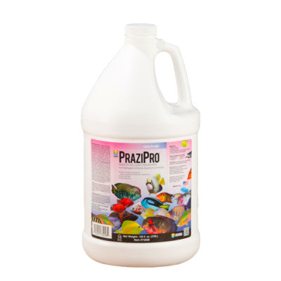 Hikari PRAZIPRO Parasite Treatment