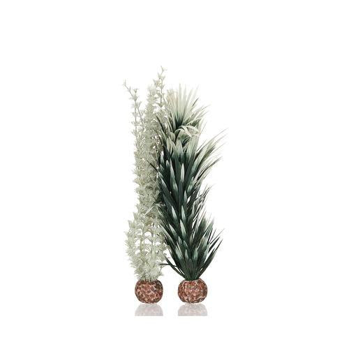 Grey-Green Ambulia Plant Set, medium