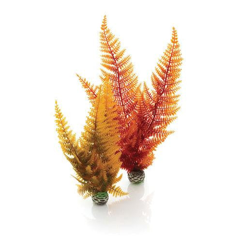 Fern Plant Set Multicolor | Splashy Fish