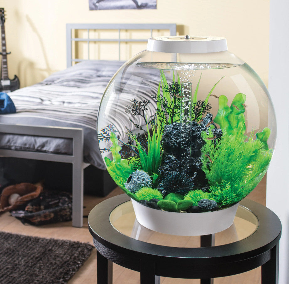 Aquatic Topiary Ball Set | Splashy Fish