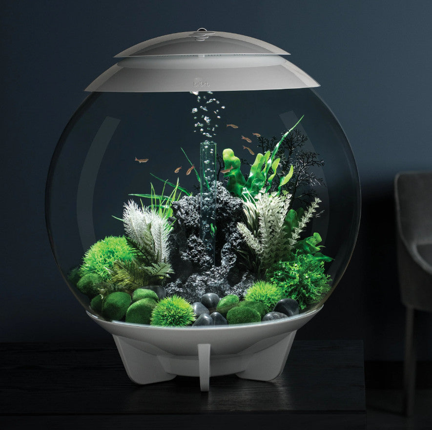 Aquatic Topiary Ball Set | Splashy Fish