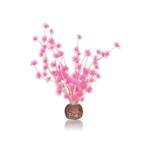 Bonsai Ball Pink | Splashy Fish