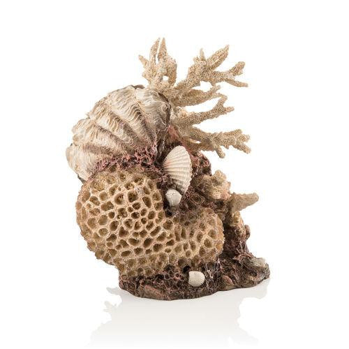 Natural Coral-Shells Sculpture | Splashy Fish
