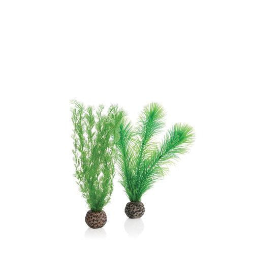 Green Feather Fern Plant Set, small | splashy fish