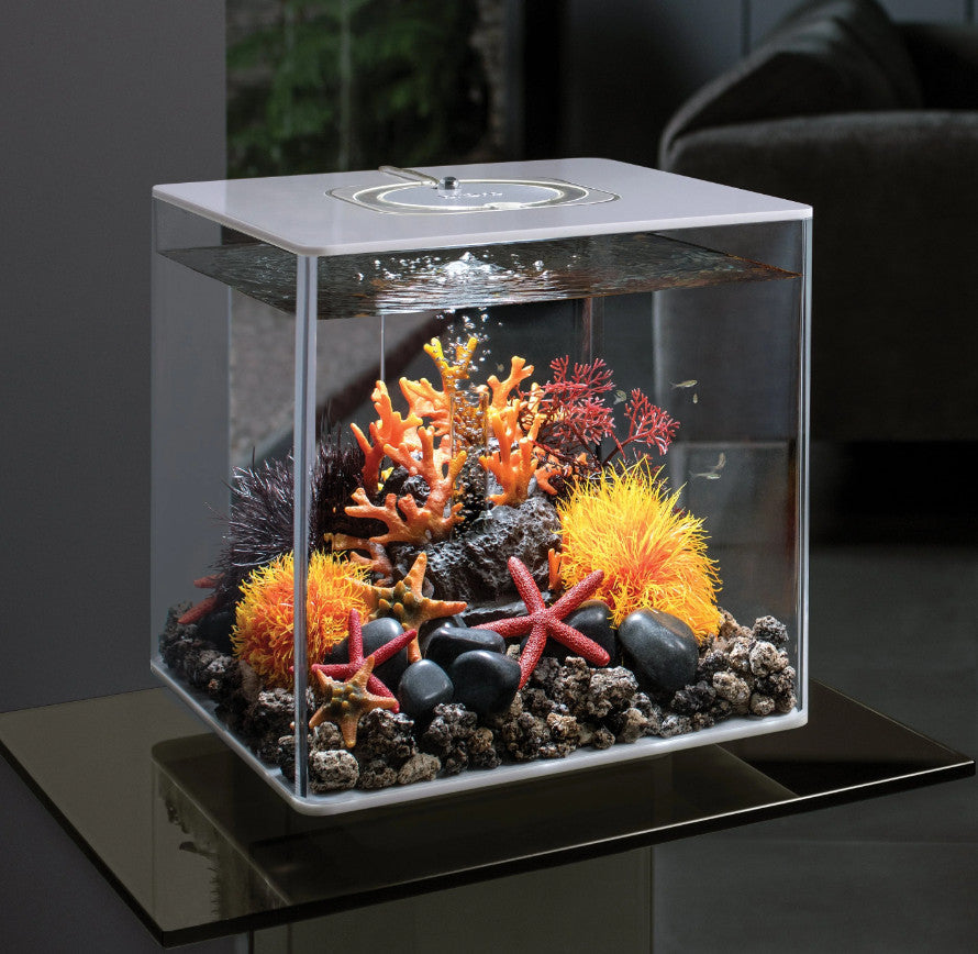 Lava Rock with Fire Coral Sculpture | splashy fish