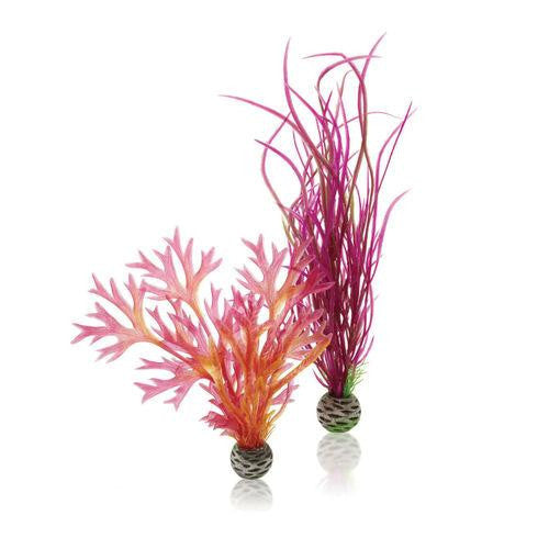 Red & Pink Plant Set, medium | splashy fish