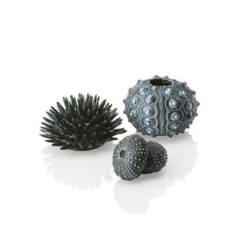 Sea Urchins Set | Black | Splashy Fish