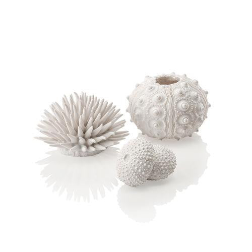 Sea Urchins Set | White | Splashy Fish