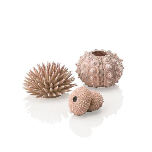 Sea Urchins Set | Natural | Splashy Fish