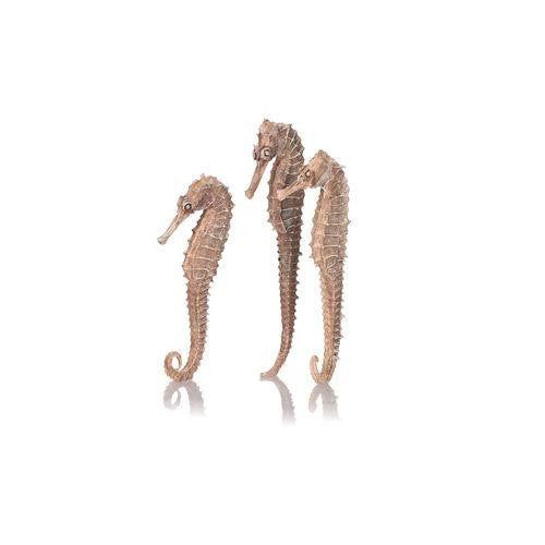 Seahorse Set | natural | splashy fish