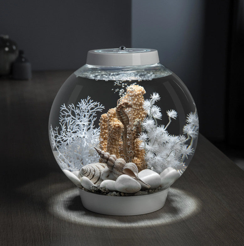 Seahorses on Coral Sculpture, small natural | splashy fish