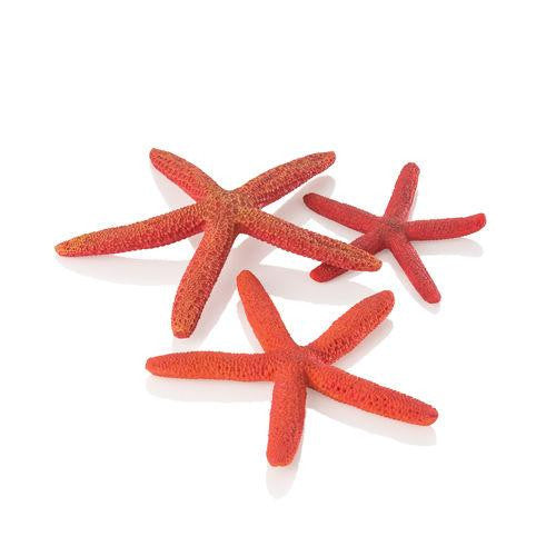 Starfish Set red | splashy fish