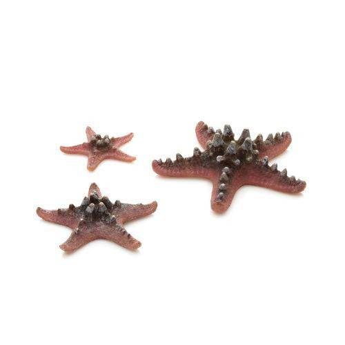 Starfish Set pink | splashy fish
