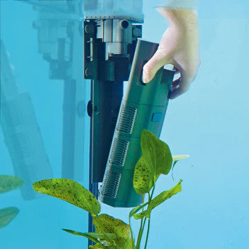 OASE BIOPLUS INTERNAL FILTER 200 Built in Heater for sale