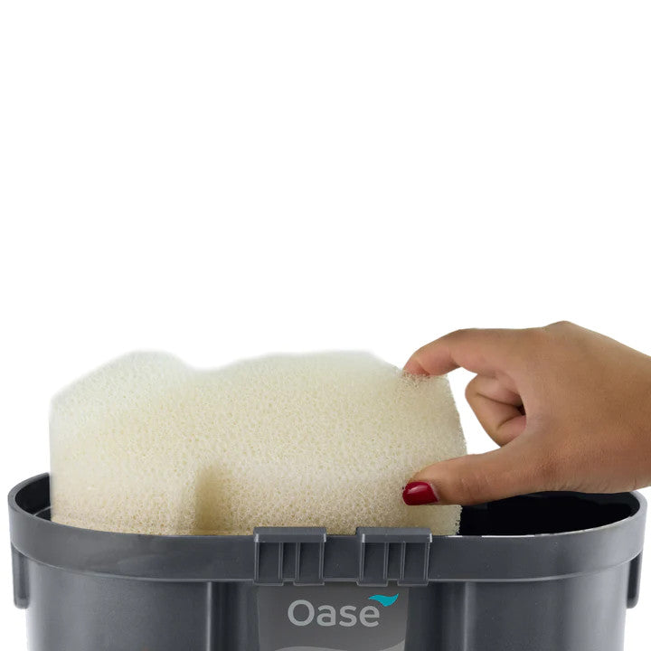 Filter Foam Set for the FiltoSmart 300 | splashy fish