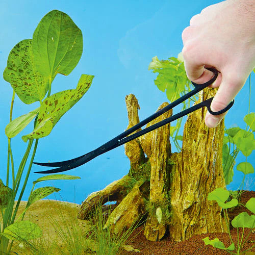 Plant Scissors | splashy fish