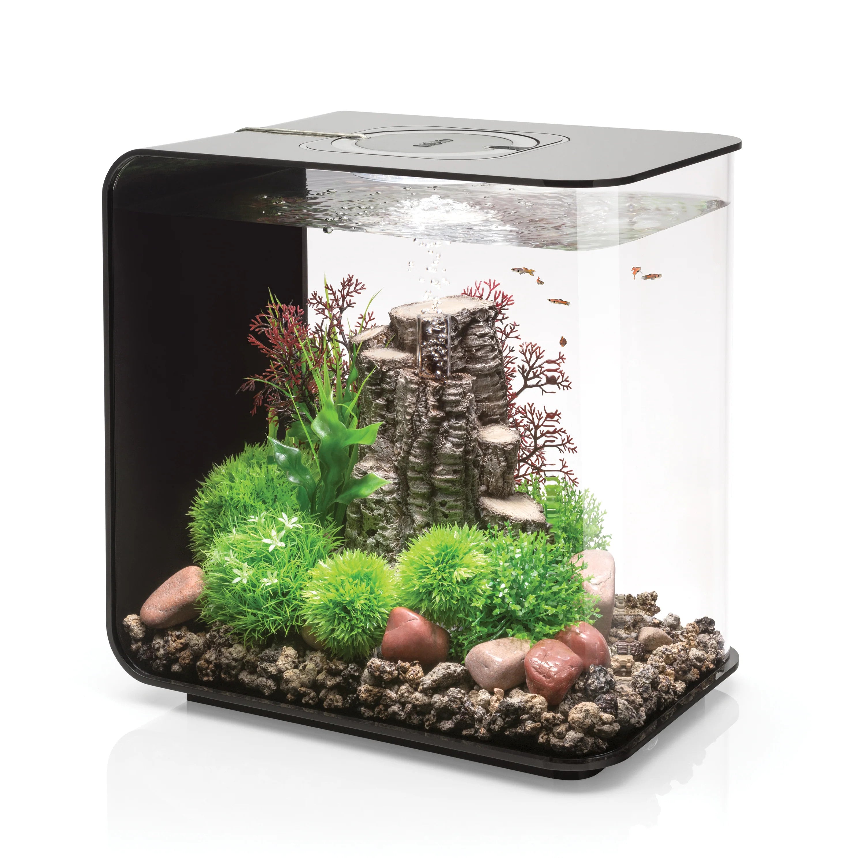 FLOW 30 Aquarium with Standard Light - 8 gallon | black