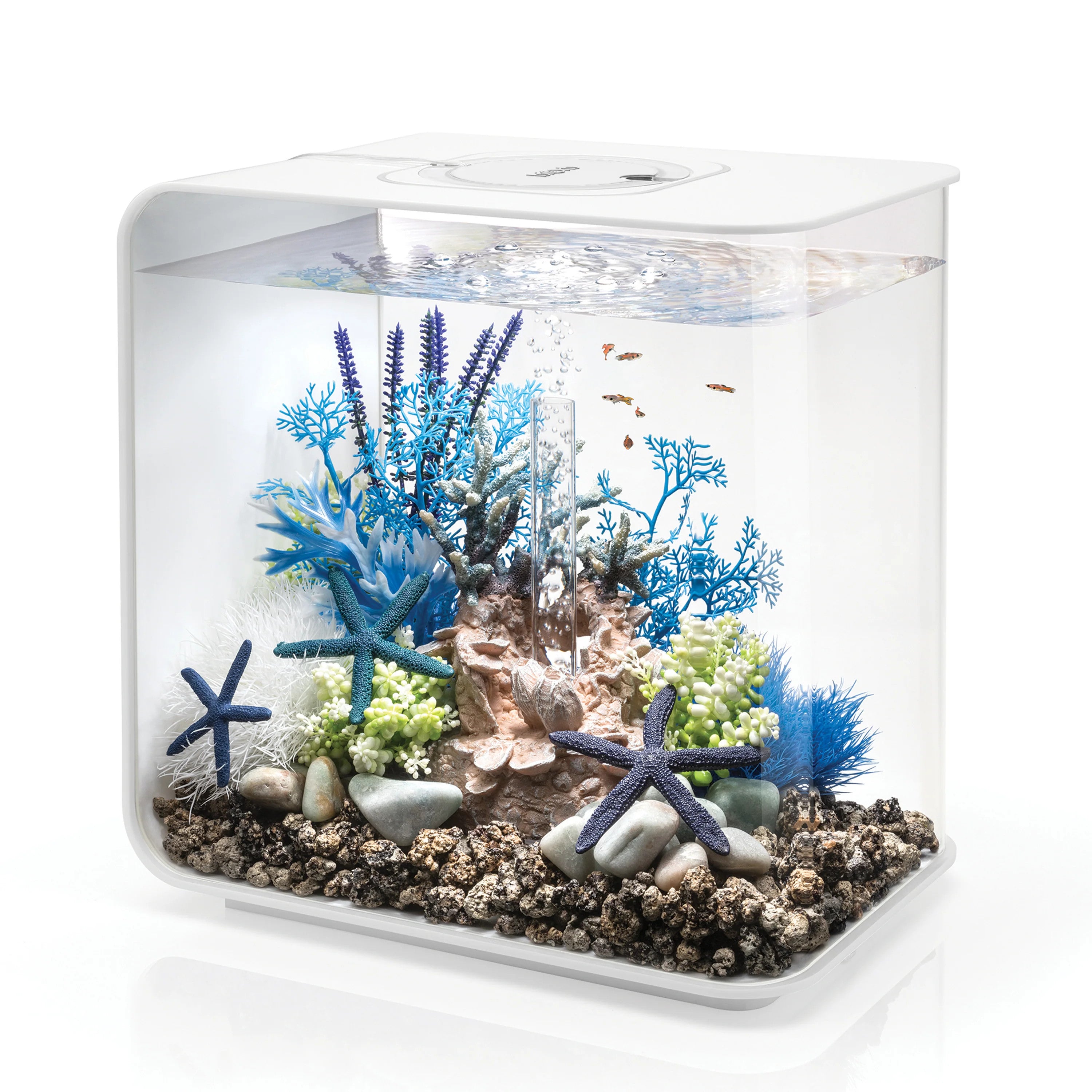FLOW 30 Aquarium with Standard Light - 8 gallon | White