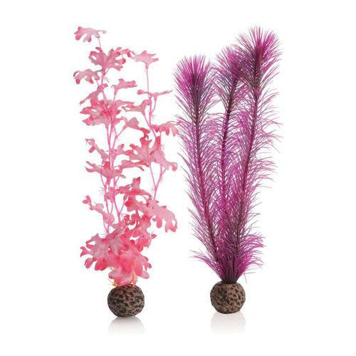 Medium Kelp Plant Set pink